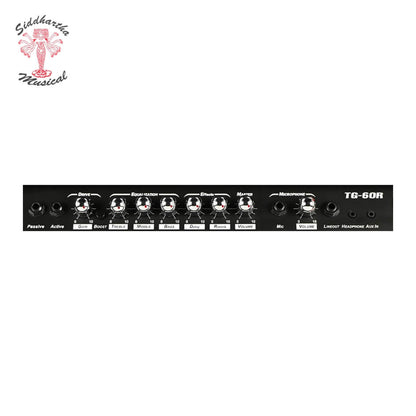 AMPLIFICADOR DEVISER GUITARRA YX-TG60 60w